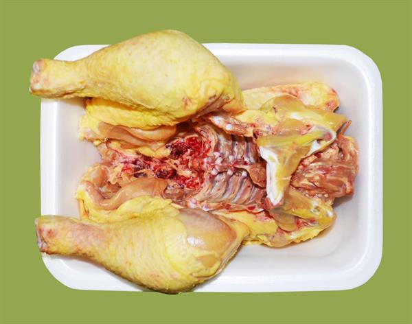 POLLO SENZA PETTO                                  PO124