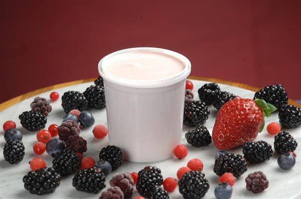 YOGURT INTERO FRUTTI DI BOSCO (BUFALA) 1PZ=500GR