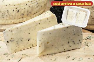 BIS CACIOTTA TARTUFO/ CACIOTTA ERBA CIPOLLINA 0,350 GR SV