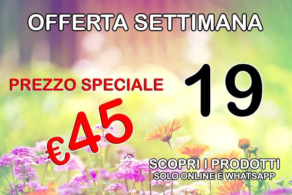 OFFERTA SETTIMANA 019